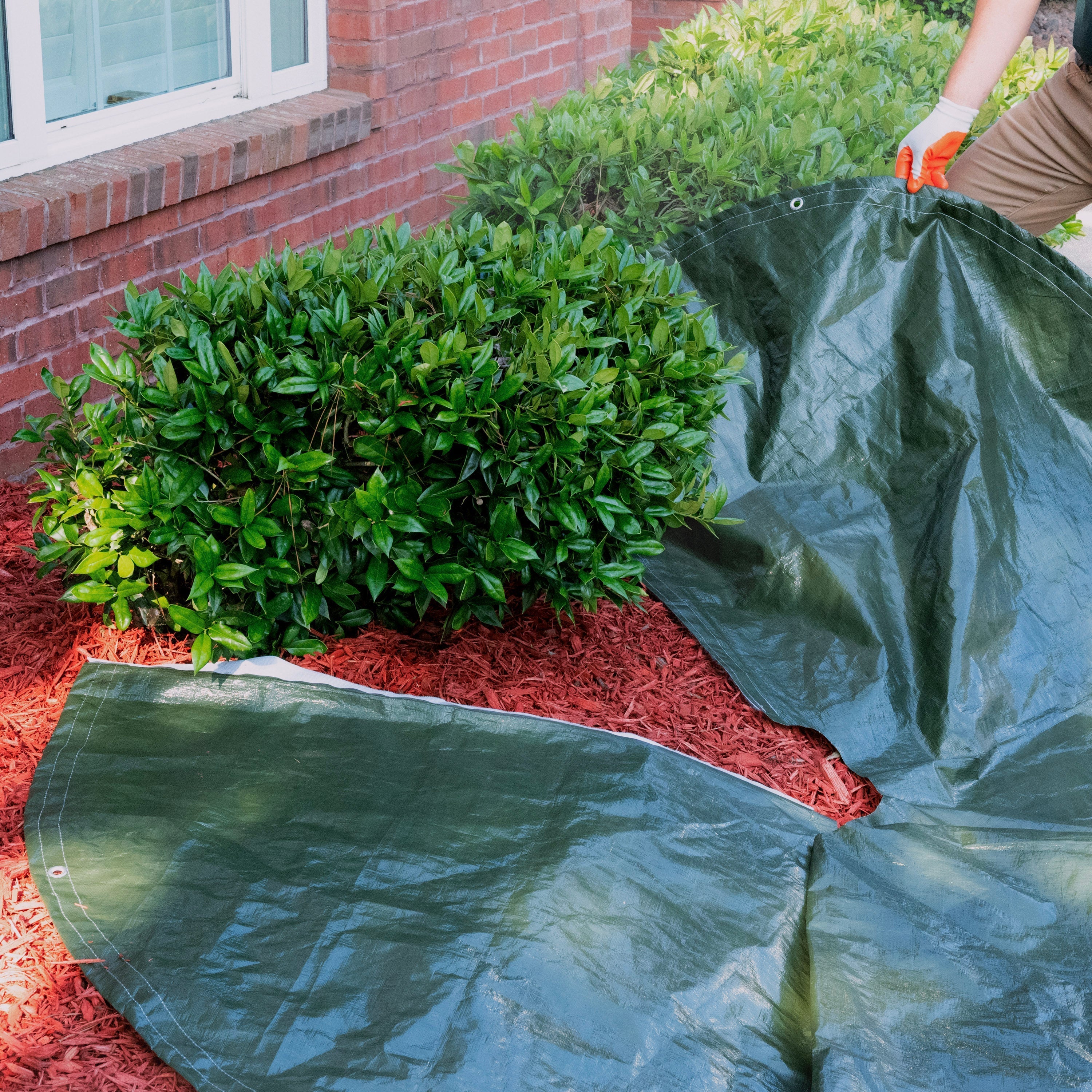 How to Keep Mulch Clean When Trimming Hedges, Shrubs or Bushes.