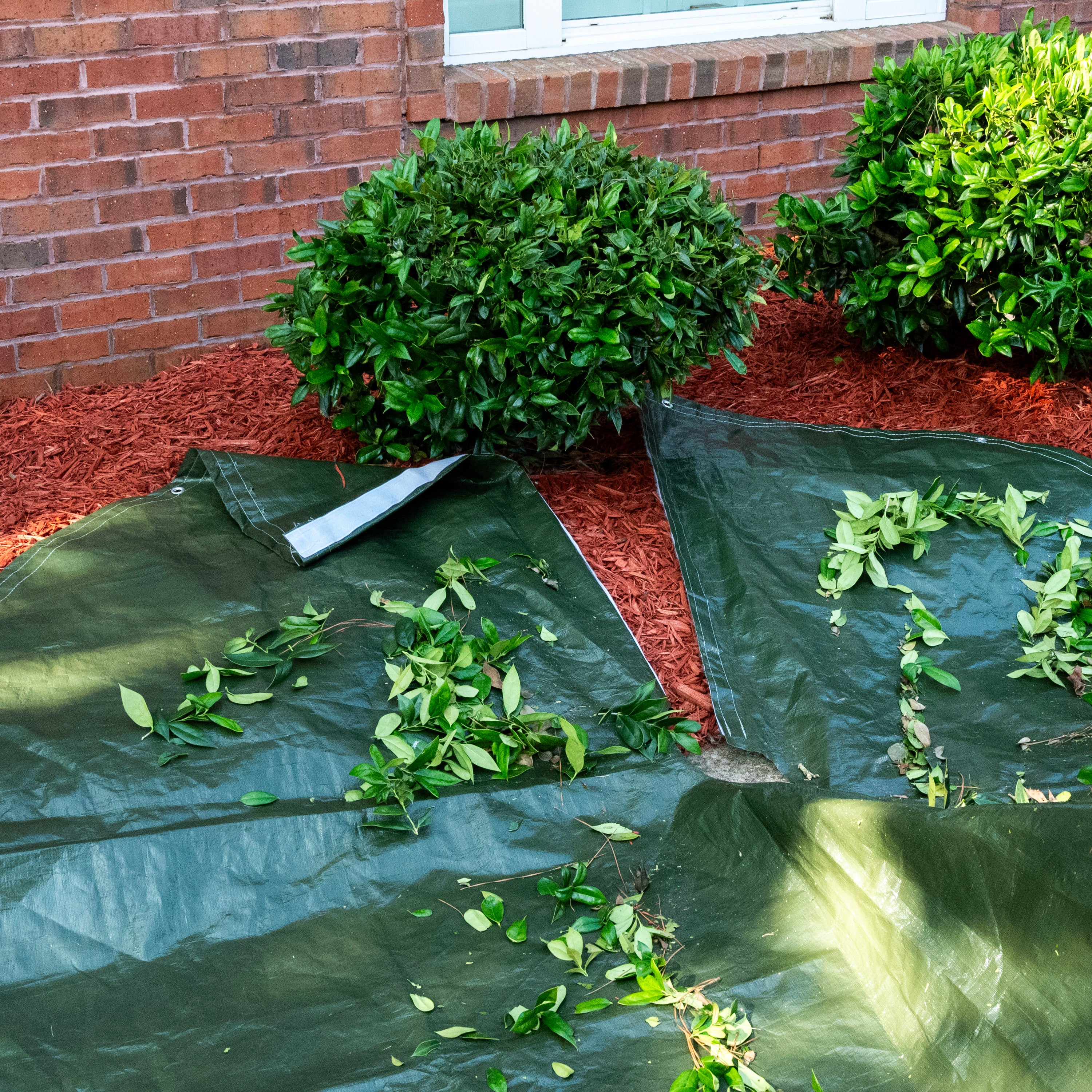 Clear-Cut Deluxe 8 Feet Landscape Tarp